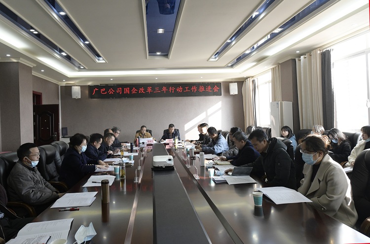 國企改革推進(jìn)會.jpg